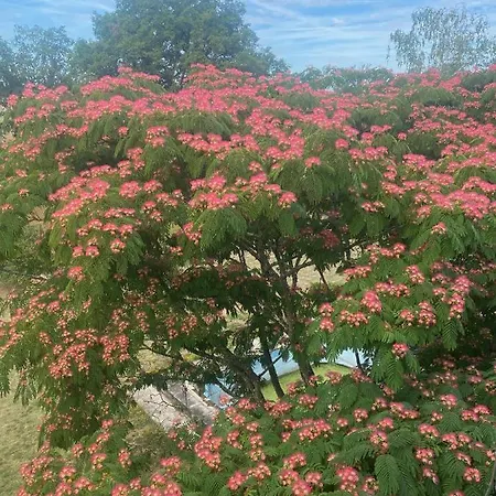 Σπίτι διακοπών Domaine La Bouliniere - La Biche Journet