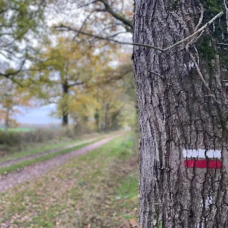 Domaine La Bouliniere - La Biche Дом отдыха *