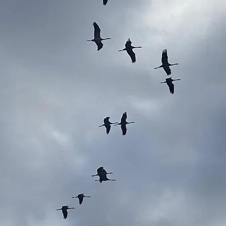 Σπίτι διακοπών Domaine La Bouliniere - La Biche Journet
