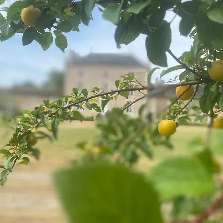 Domaine La Bouliniere - La Biche * Journet