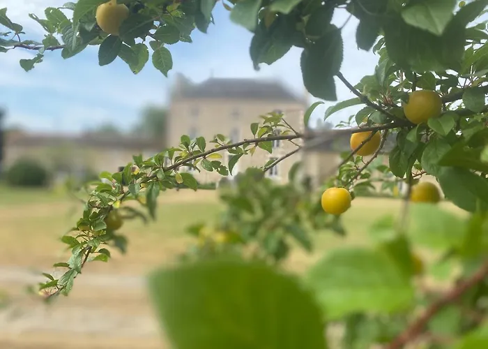 Domaine La Bouliniere - La Biche * Journet